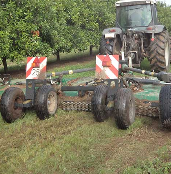 Spearhead Stubble Master 500